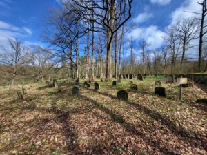 IMG-20260326-JF-Ebwern_1
